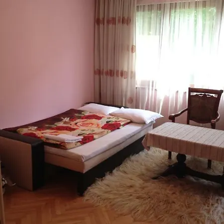 Downtown Apartament